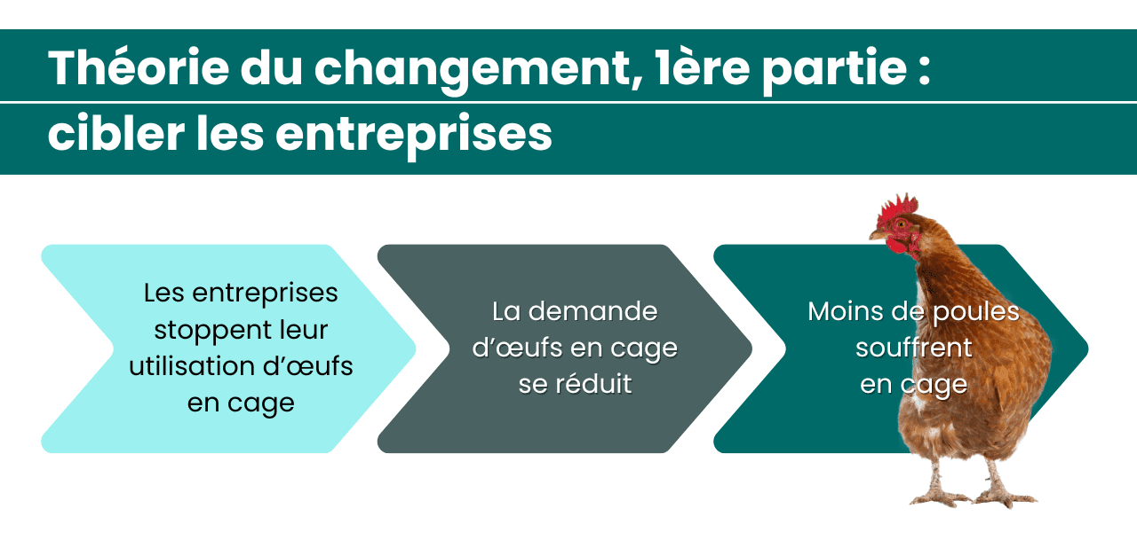 Description visuelle de la thÃ©orie du changement d'Anima : cibler les entreprises, pour stopper leur utilisation d'oeufs issus de poules Ã©levÃ©es en cage, de rÃ©duire la demande et donc le nombre de poules souffrant en cage en France.