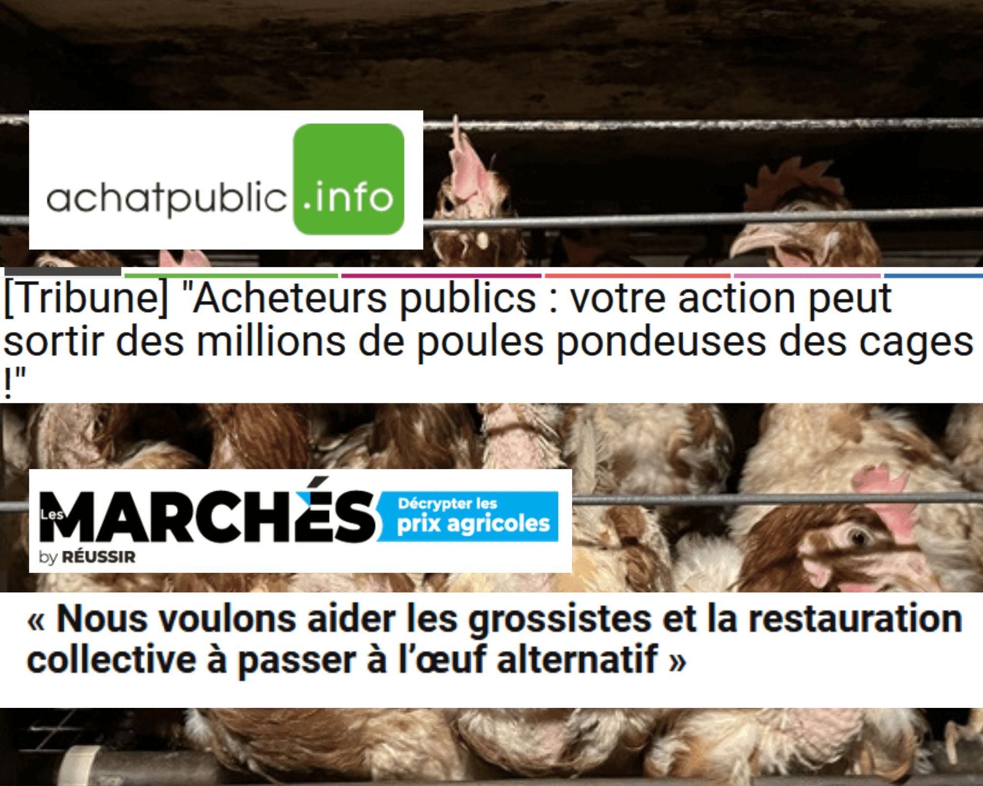 Publications d'Anima dans les médias Marchés Publics et Achat Public