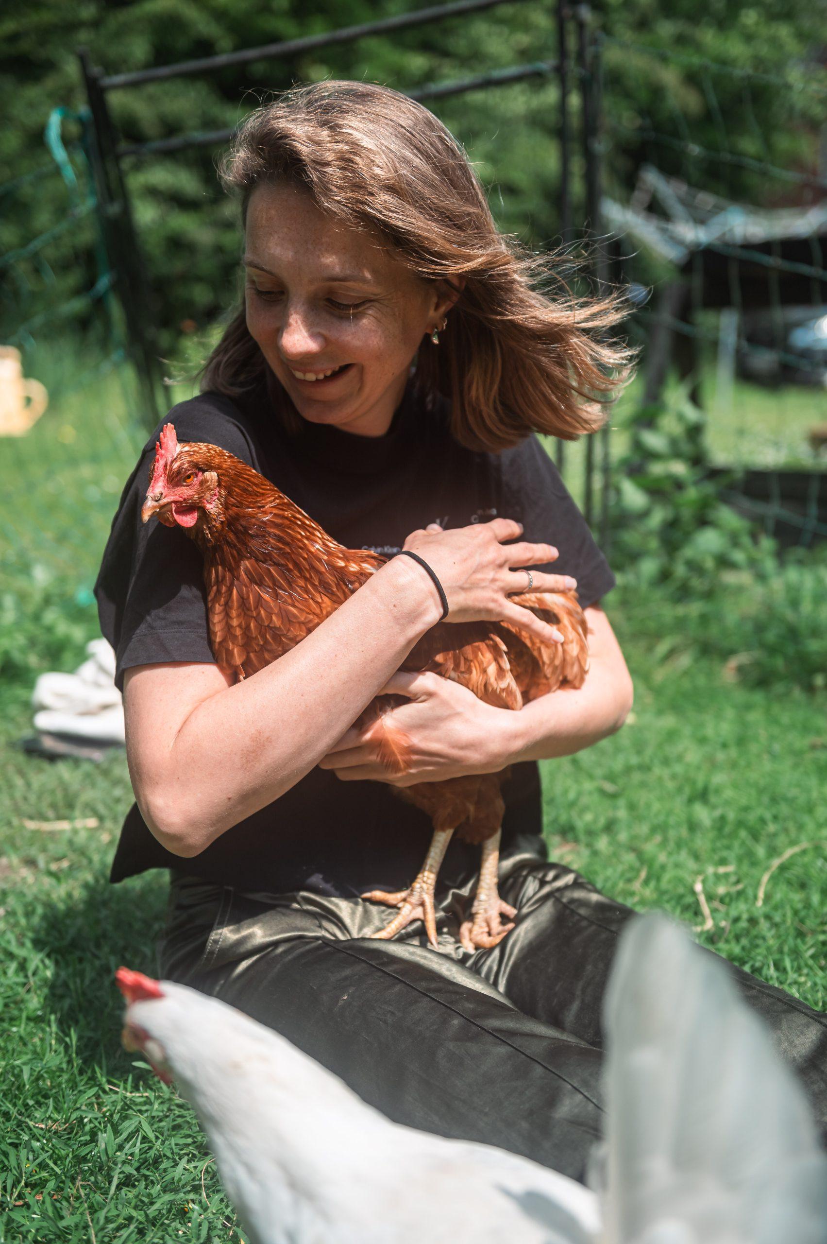 Photo d'une poule rousse dans les bras d'une personne, dans un jardin extérieur ensoleillé, dans un refuge au Danemark.