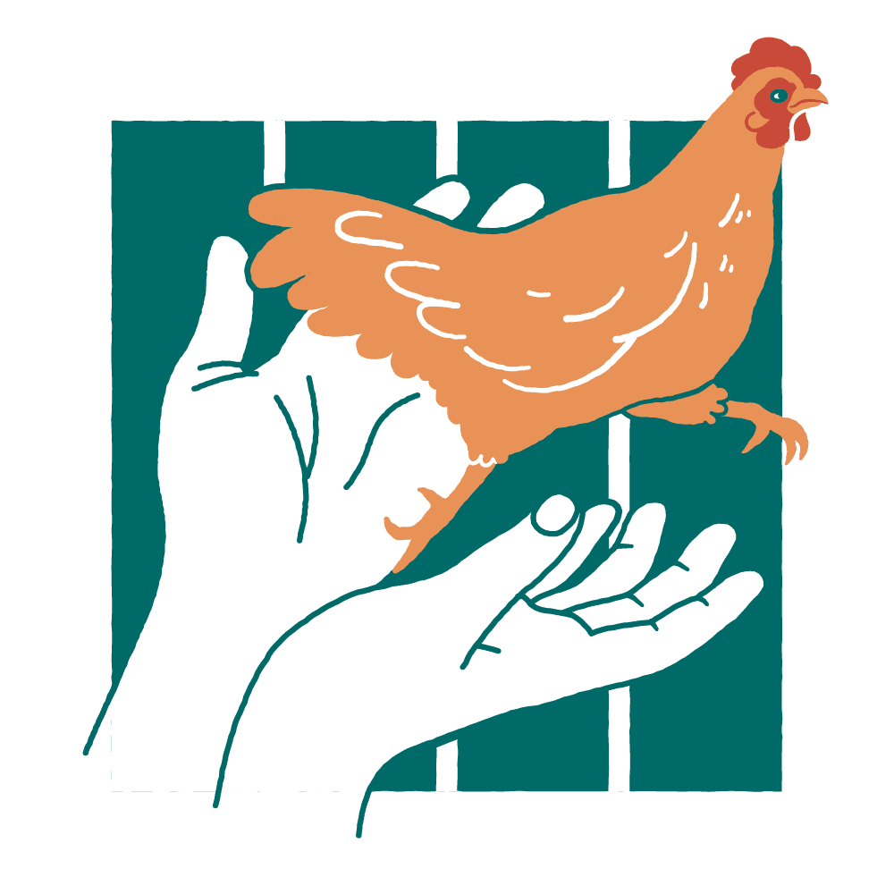 Le logo de la campagne Défenseurs des poules. Une poule sort d'une cage, portée par deux mains ouvertes.